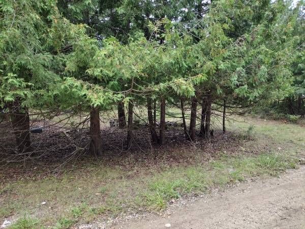 $9,995 Nice site for camping - near lake and town (Skidway Lake, MI)64037895072513121