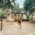 4/BD 2/BA, Basketball and BBQ Grill Area, Dishwasher 1 thumbnail
