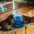 Bonded kittens 1 thumbnail