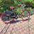 HUFFY SUPREME 7 SPEED 28" WHEELS MAIL CARRIER SPLASH GUARDS READY NEW 4 thumbnail
