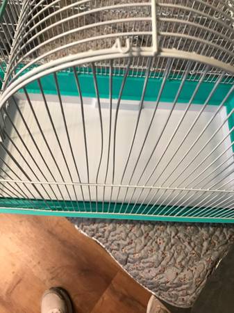 Bird Cages (Cincinnati)63908216476419121