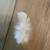 ✨ White Guinea Fowl Feathers – For Sale ✨ 2 thumbnail