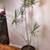 Decorative palm trees🌴DELIVERY🎅Dragon tree.Dracaena Marginata.Plants 1 thumbnail