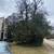 Smith's Tree Service. And stump removal. Land clearing . 2 thumbnail