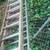 Several ladders - A frame and extension 3 thumbnail