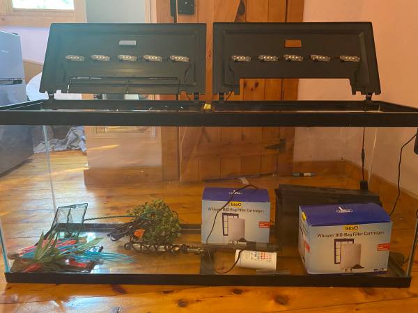 50 gallon fish tank 1