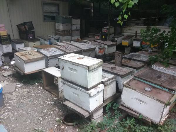 used and new bee boxes 1