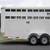 2016 Shadow 16' Bumper Pull Stock Trailer 2 thumbnail