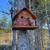 3BDM- Sept 1st- Acerage in South Shawnigan Lake-Pets okay! 11 thumbnail