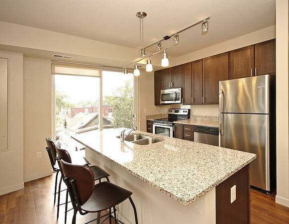 $600 Luxury Apartment Rooms For Rent - SE Minneapolis (Minneapolis)63868700677251120