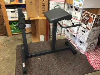 Hyper Extension Bench / Roman Chair / Back Extension 1