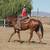 Racing Bread QH papperd! 7 thumbnail