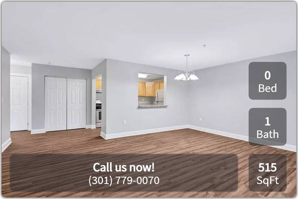 $1,420 / 515ft2 - ¡Este es el lugar que estabas buscando! ¡Studio! (Bladensburg - Bladensburg Waterfront Park)63499083796867121
