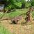 Antique plow large one bottom 5 thumbnail