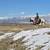 Paradise Valley 20 Acres, deeded to build another home + 2 guest house 5 thumbnail