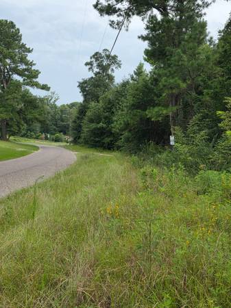 $11,560 A .6 Acre Tract +/- LAND FOR SALE in Jasper Texas. Financing Available (Jasper)64036372853379124