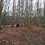 Down $245/month Owner Financing .86 acres (Murphy NC) 3 thumbnail