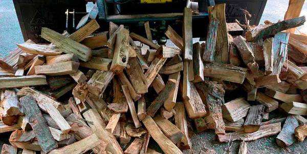 Free Wood (Pasadena)63669519320449120
