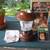 Coleman Double Mantle Lantern Model 275-710 2 thumbnail