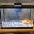 Aquarium Fish Tank (15 gallon) 1 thumbnail