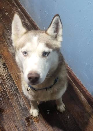 She looking for a new home 1