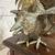 Vintage Solid Brass Fighting Roosters 7 thumbnail