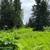 - Price Reduction - Undeveloped view lot 8 thumbnail