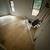 professional flooring installer 10 thumbnail