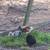 Geese, guineas, pullets, turkeys, and white homing pigeons 13 thumbnail