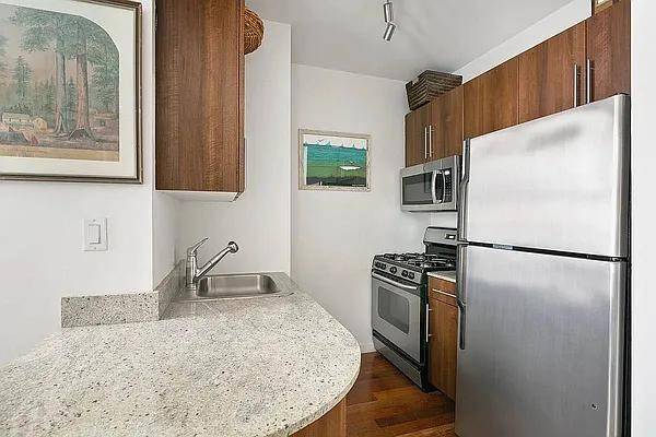 $3,495 Live in the Light, A Spacious Apartment with Premium Touches (Financial District)63912047841795120