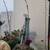 New succulent  arrangements 2 thumbnail