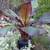 Big  Plants for good prices. Open 10-5p.m. 5 thumbnail