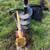 Tractor auger 2 thumbnail
