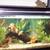 Aquarium Maintenance Technician 4 thumbnail
