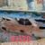 1970-1972 Monte Carlo P.S door 2 thumbnail