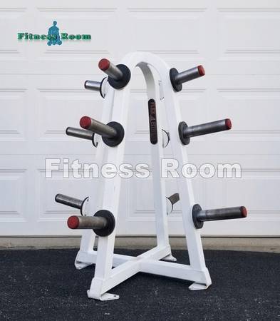 ******* FLEX FITNESS / STAR TRAC OLYMPIC WEIGHT STORAGE ******* 1