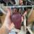 Western Horse Halters and bits 4 thumbnail
