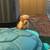 Golden Retriever puppies 2 thumbnail