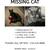 Missing Cat 1 thumbnail