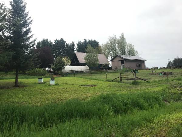 $750 / 1000ft2 - RV / Tiny House Parking on 5 Acre Farm (Ferndale)635096026027531229