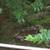 Private Charming  4/3 (incl basement apt) 1 hour from Asheville 23 thumbnail