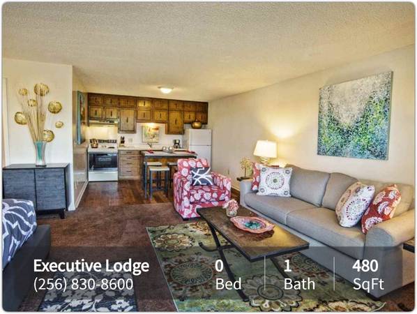 $739 / 480ft2 - Charming Studio  with great character! 480 Sq Feet (Huntsville)63658742851715122