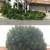 HANDYMAN & TREE TRIMMING SERVICES - ✮ FREE ESTIMATES ✮ 6 thumbnail