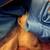 Rehoming kitten 3 thumbnail