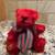Small Red Bear 1 thumbnail