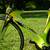 Quintana Roo CD.01 size 49 carbon triathlon bike 9 thumbnail
