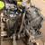 🚨 2002 - 2004 Kia Spectra - AUTOMATIC TRANSMISSION - #F33599 🚨 NOW: 3 thumbnail