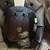 Harley DAVIDSON Mens 3/4 Helmet 6 thumbnail