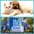 TWO sparkling swimming pools, Dog Park! & Cozy Fireplaces! 12 thumbnail