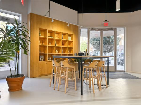 ✨Professional Business Address 📍 Plano 1